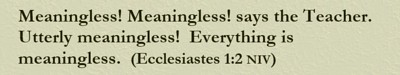Meaningless! Meaningless! says the Teacher. Utterly meaningless! Everything is meaningless. (Ecclesiastes 1:2 NIV)